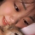 愛犬が亡くなる前日…