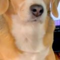 『よりによって、な…