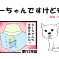 ちーちゃんですけど…