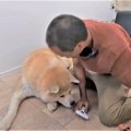 骨折、流血も日常茶…