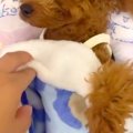お布団をかけて寝て…