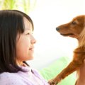 犬は人間の『笑顔や…
