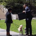 「1100万円で愛犬を…