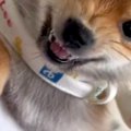寝ている妻に近づい…