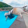 夏の水泳教室で特訓…