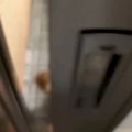 『飛びつかない練習…