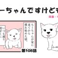 ちーちゃんですけど…