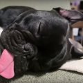 僕だって疲れるんで…