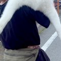26キロの大型犬が『…