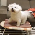 大好きなおやつの時…