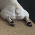 【話題】これは無視…