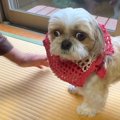 大好きなおじいちゃ…
