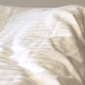 朝、寝ている妻の方…