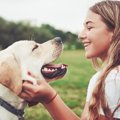 犬が『褒められた』…