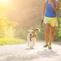 犬と一緒にジョギン…