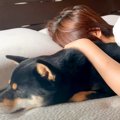 犬が寝ているママに…