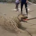 砂漠のような乾燥地…