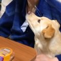 小さな頃から『おじ…