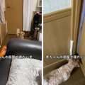 主『赤ちゃんの部屋…