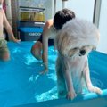 がっくり悲壮感が半…