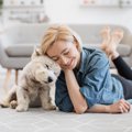 犬からの『信頼度』…