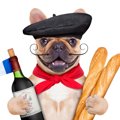 フランス語の犬の名…