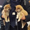 【怒り】ヨーロッパ…