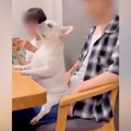 膝の上に座ってマッ…
