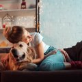 愛犬を亡くして『ペ…
