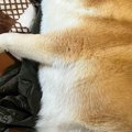 用事を済ませて帰宅→…