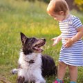 犬は飼い主の会話の…