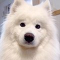 出勤したはずのパパ…