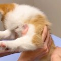 病院に注射を打ちに…
