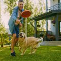 犬と『遊びすぎる』…