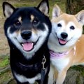 離れてもすぐにぴっ…