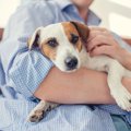 犬が飼い主を嫌いに…