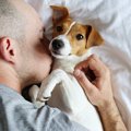 犬が飼い主の体に体…