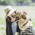 愛犬がボケやすくな…