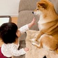 赤ちゃんがくつろい…