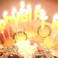 犬の誕生日を祝うた…