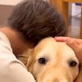 息子が泣いていると…