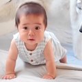赤ちゃんが『ハイハ…