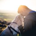 ショック！犬が死ん…