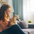 犬の「性格」を知る…