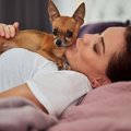 犬が飼い主のことを…