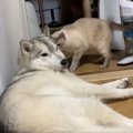 寝てただけやのに…理…
