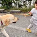 1歳の女の子が『初め…