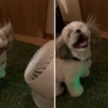 気分爽快！サーキュ…