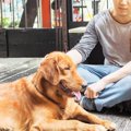 男性と女性、犬によ…
