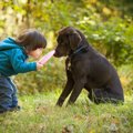 犬にしてはいけない…